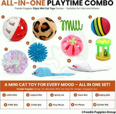 10 Pcs Interactive Cat Toy Combo Set | Assorted Balls, Mouse, Spring & Ball Bell Toys for Cats & Kittens | Indoor Play, Hunting, Exercise & Mental Stimulation