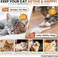 10 Pcs Interactive Cat Toy Combo Set | Assorted Balls, Mouse, Spring & Ball Bell Toys for Cats & Kittens | Indoor Play, Hunting, Exercise & Mental Stimulation