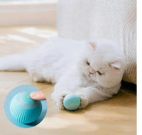 ROTATING CAT BALL